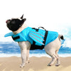 A white dog wearing a bright blue life jacket with black accents and a rescue handle, standing on a sandy beach.