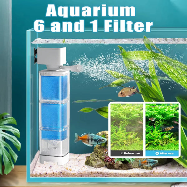 A clear aquarium tank showing a blue filter unit and aquatic plants, demonstrating before and after use.
