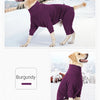 A golden retriever wearing a purple windproof fleece jumpsuit outdoors in the snow.
