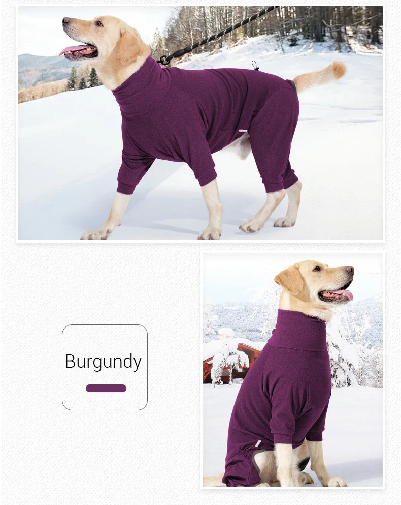 A golden retriever wearing a purple windproof fleece jumpsuit outdoors in the snow.