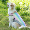 كلب فاتح اللون يرتدي سترة تبريد ملونة مستلقيًا على عشب أخضر.
