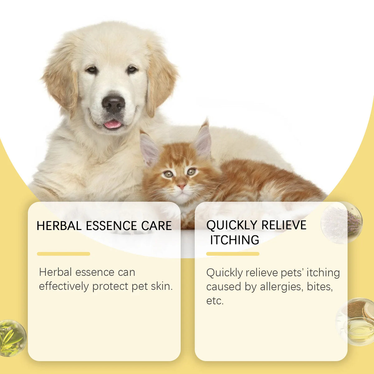 Ein Golden Retriever und eine orange Flauschkatze neben einem Produkt für Hautpflege für Haustiere.