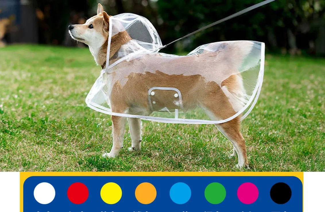 Ein hellbrauner Hund trägt einen klaren, wasserdichten Regenmantel auf grünem Gras.