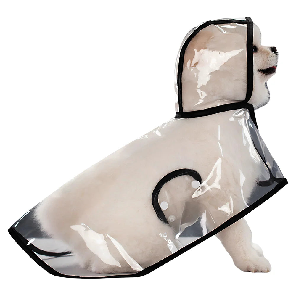 Durchsichtiger wasserdichter Hundewetteranzug, der einen weißen Hund in Profil zeigt.