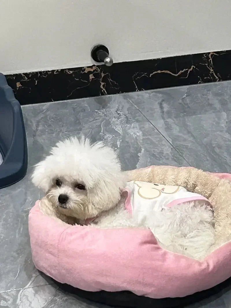 Ein flauschiger weißer Hund ruht in einem rosa ultraweichen Baumwollhundbett.
