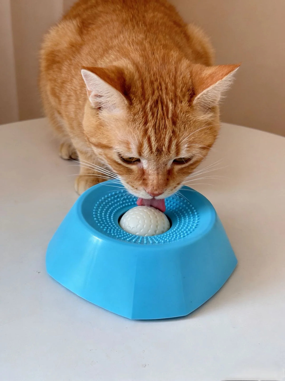 An orange cat is licking a white ball inside a blue interactive slow feeder dog bowl.