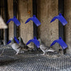 A set of plastic bird rest stands is shown with several pigeons on a wire mesh surface.