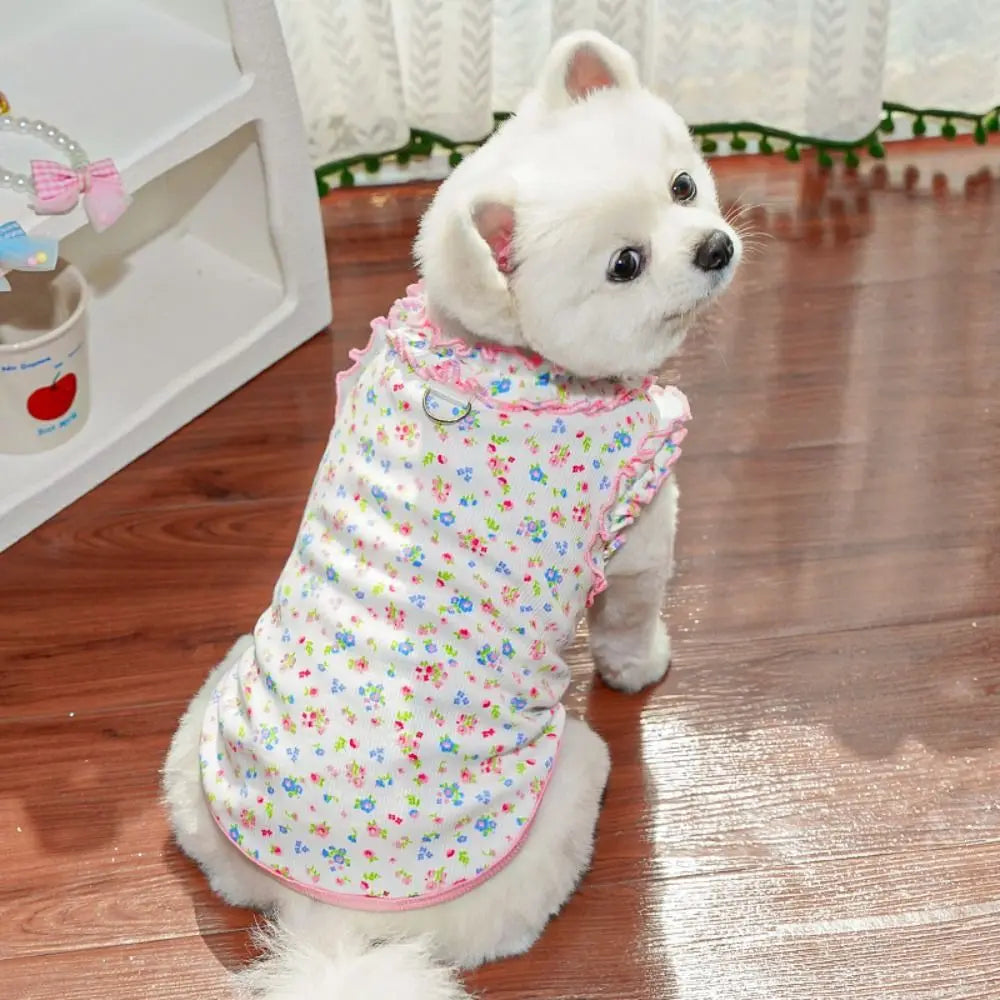 A white dog wearing a floral princess pet dress with pink trim, standing on a wooden floor.