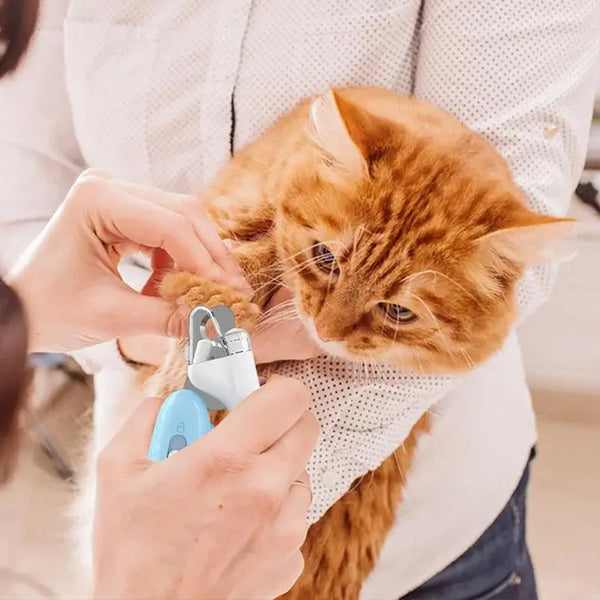 A person is using LED pet nail clippers on a cat's paw.
