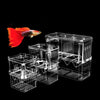 A bright red fish is visible inside an acrylic fish breeding isolation box.