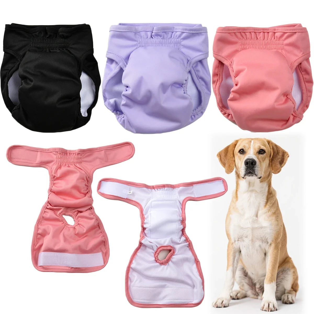 Calzoncillos sanitarios reutilizables a prueba de fugas para perros, mostrados en negro, púrpura y rosa con un perro.