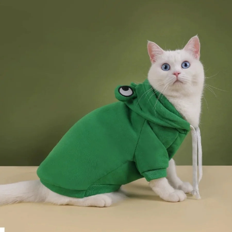 A white cat wearing a green frog-themed hoodie, looking directly at the camera.