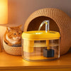 A clear glass cat drinking fountain with a yellow base and a metal spout is visible next to an orange cat.