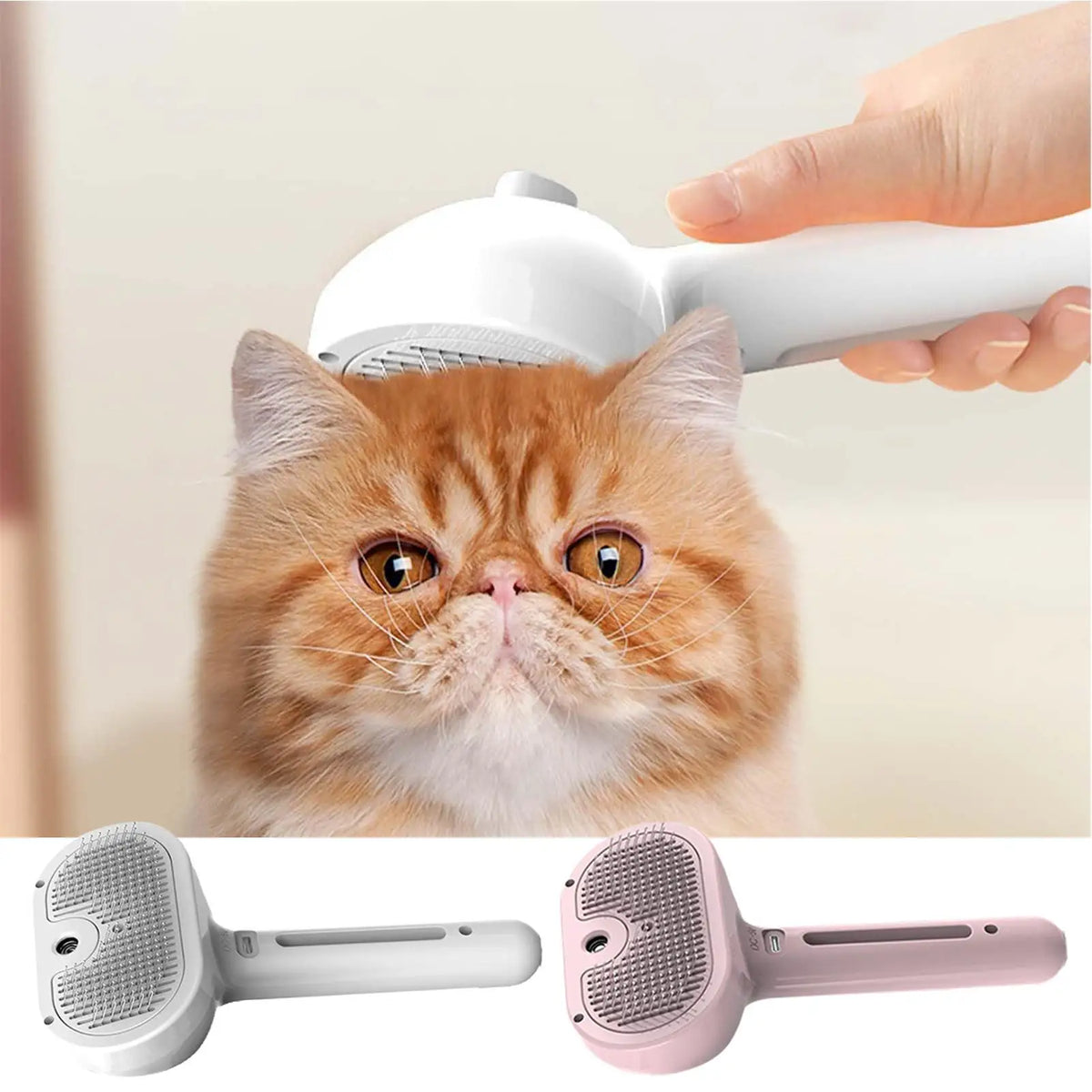Weißer elektrischer Tierhaarbürste und Styler wird auf eine flauschige orange Katze verwendet.