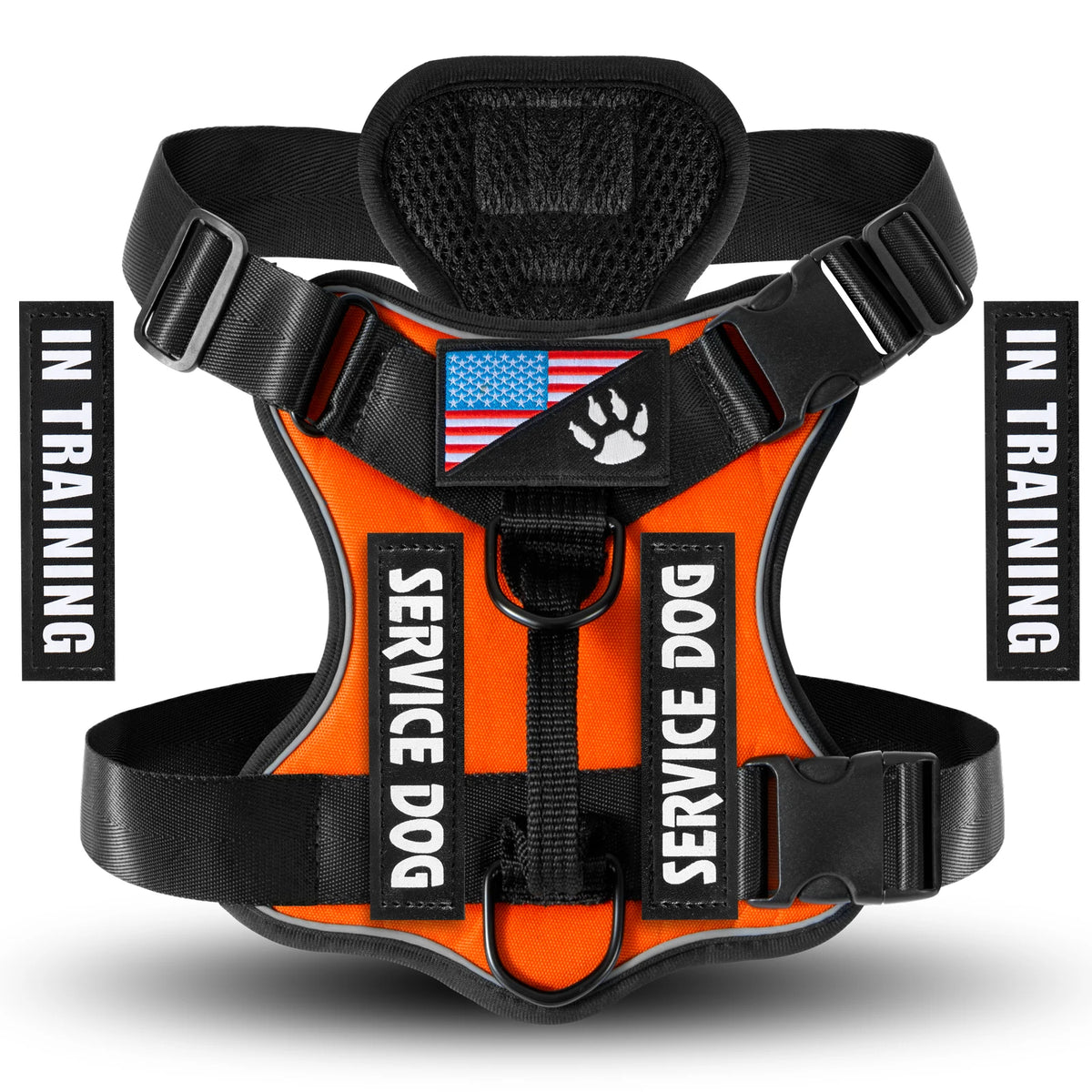Orange and black reflective service dog harness for in-training dogs