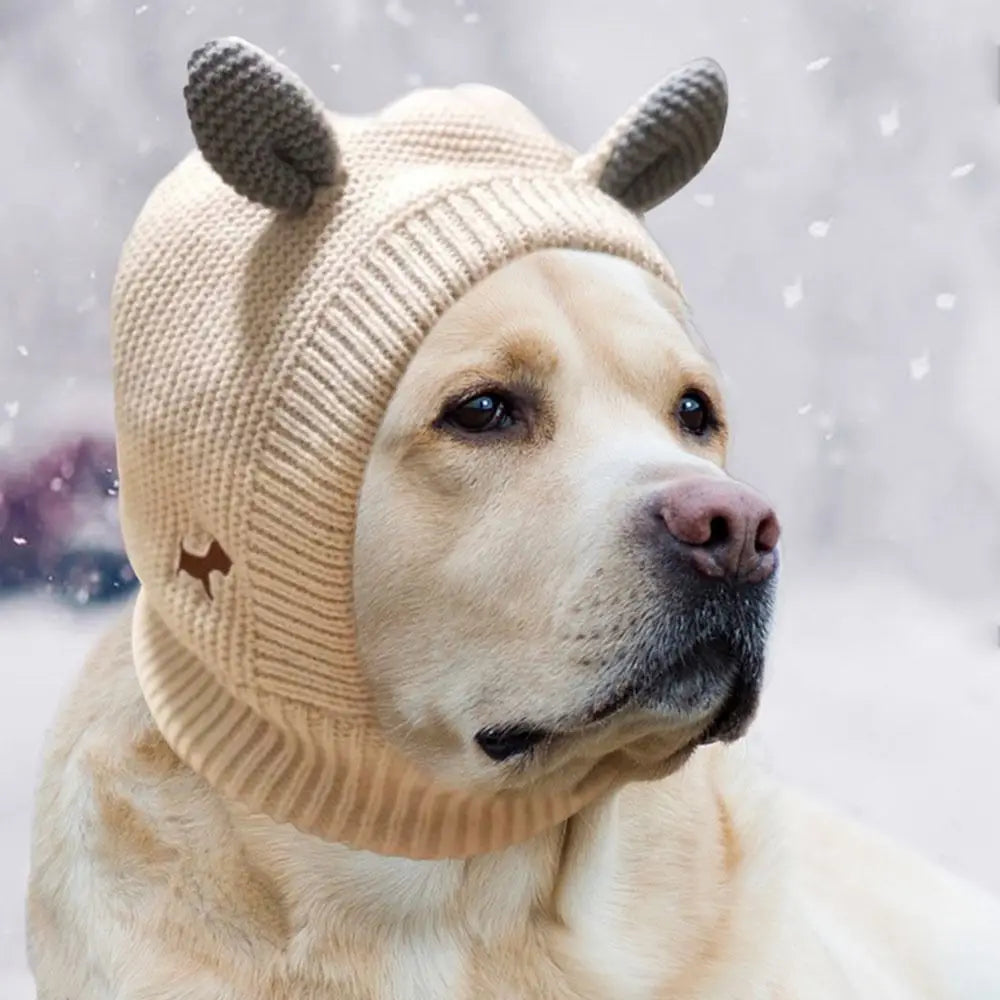 A light-colored dog wearing a beige knit ear muff with animal ears in a snowy outdoor setting.