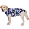 A light-colored Labrador dog wearing a blue and gray camouflage recovery suit.