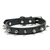 Black studded leather dog collar with metal rivets.