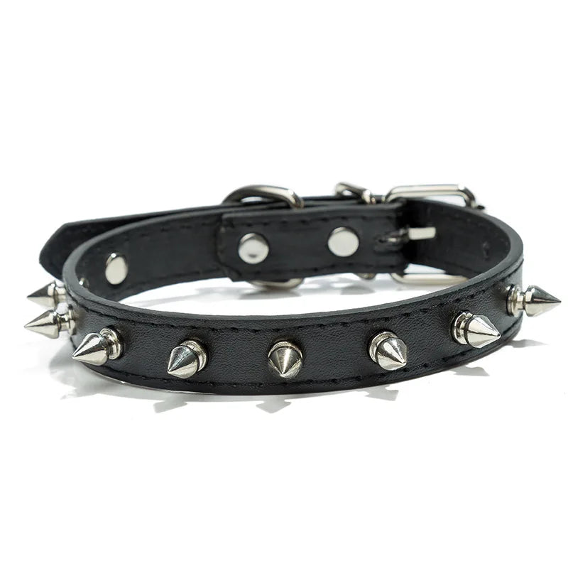 Black studded leather dog collar with metal rivets.