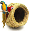 Two colorful parrots, a blue and yellow macaw and a red parrot, are perched on a natural straw bird nest.