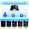 Multifunktionale Aquariumbeleuchtung mit blauem, gelbem und weißem Lichtspektrum und 5 Helligkeitsstufen.