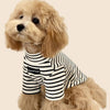 A light golden doodle dog wearing a black and white striped thermal sweater.