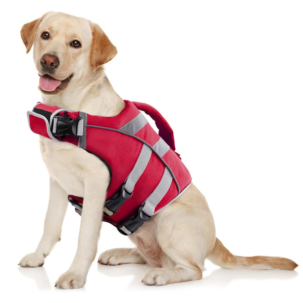 A light-colored dog is wearing a red and gray waterproof reflective life jacket.