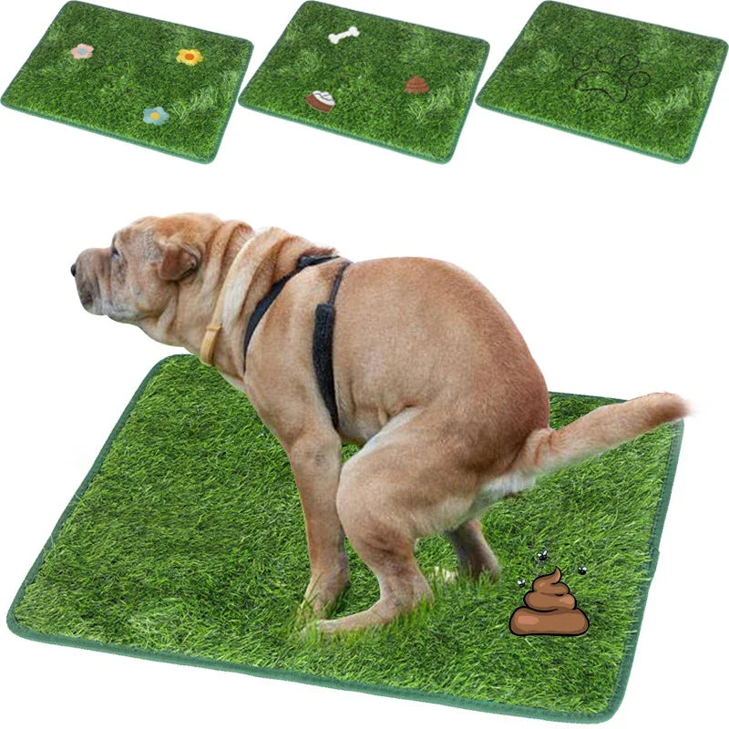 A brown dog is standing on a green artificial grass training mat with small toys scattered on the surface.