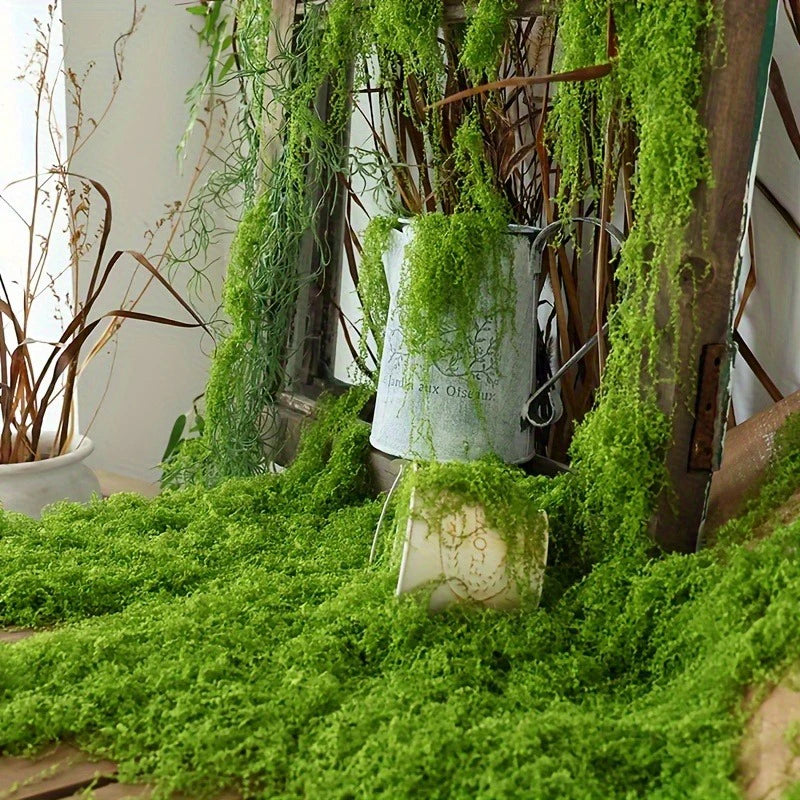 A close-up of vibrant green preserved moss growing on a wooden surface and draped over an old window frame.