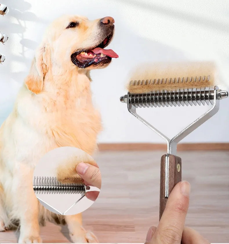 A golden retriever dog standing next to a double-sided grooming comb and brush set.