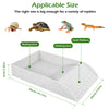 A white reptile habitat bath and climbing bowl with an anti-slip ramp shown next to various reptiles.