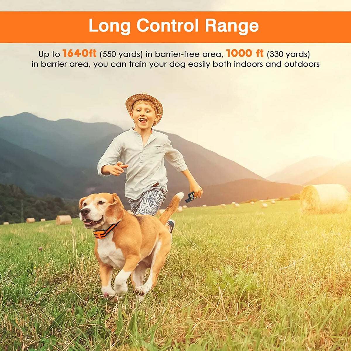A happy dog runs through a grassy field with an owner, demonstrating the long control range of an electric dog training colla