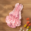 Pink and white checkered reusable dog diaper pants for small breeds lying on a wooden surface.