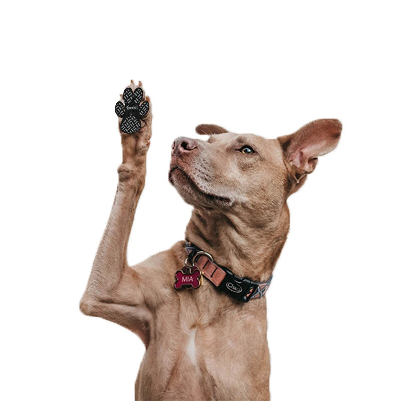 A light brown dog is raising one paw equipped with anti-slip grips.