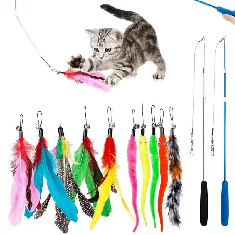 A gray kitten is playing with an interactive cat toy variety pack featuring feathers and plush attachments.