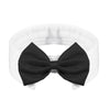 White adjustable formal bow tie collar for cats and small dogs