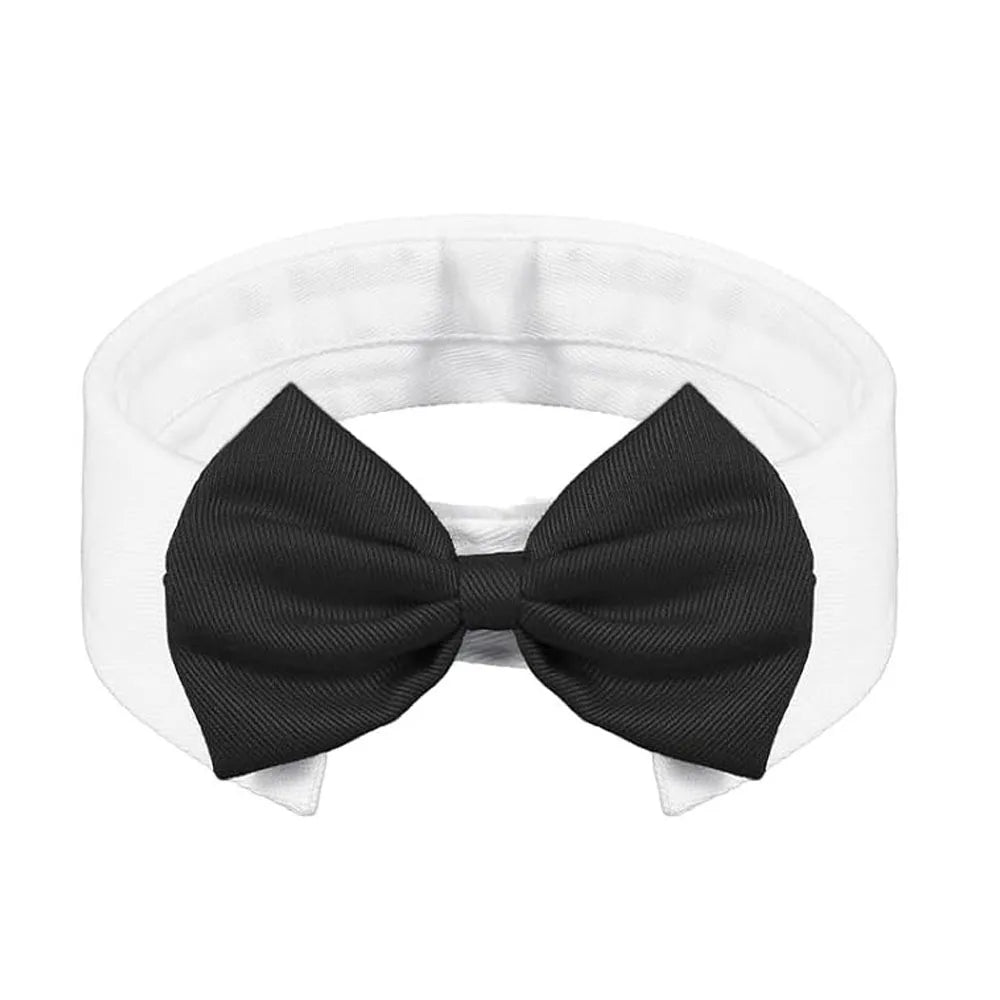 White adjustable formal bow tie collar for cats and small dogs