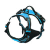 A blue adjustable no-pull dog harness with black straps and reflective strips.