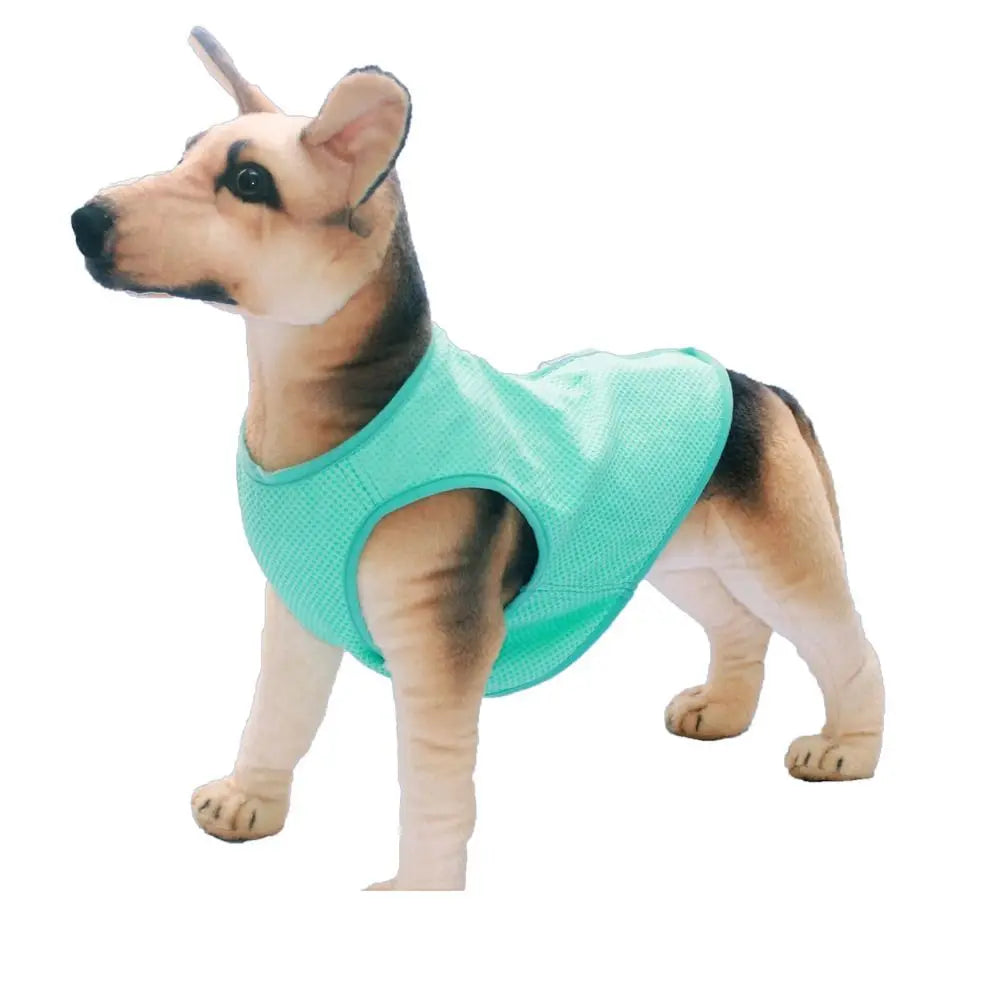 A light mint green breathable dog cooling vest worn by a dog.