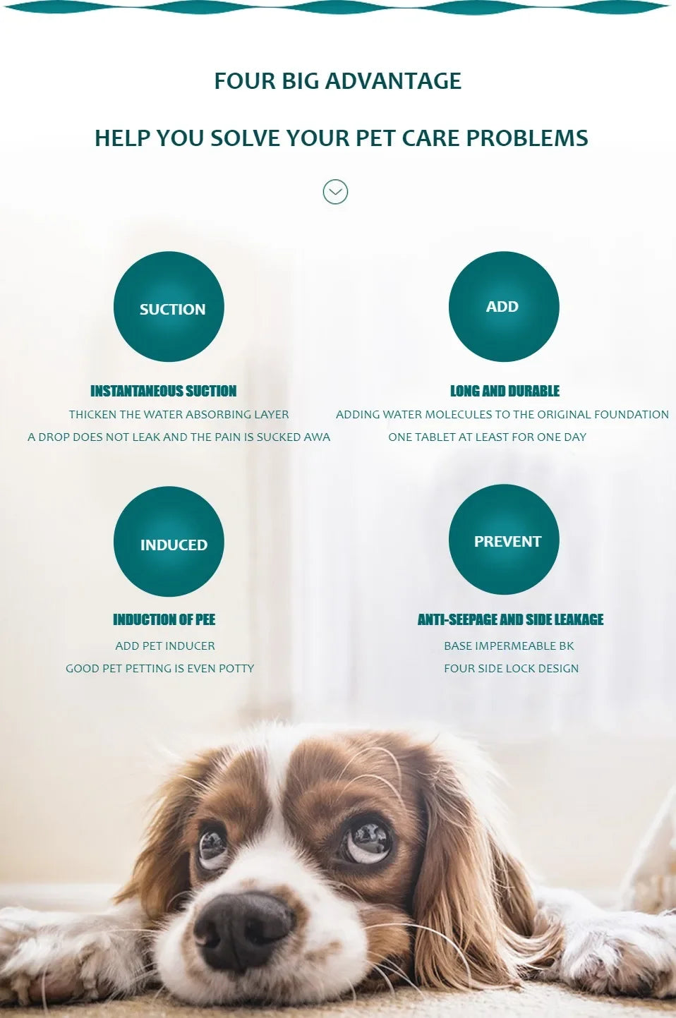 A dog lies down looking at the camera next to marketing text describing four big advantages for pet care problems.
