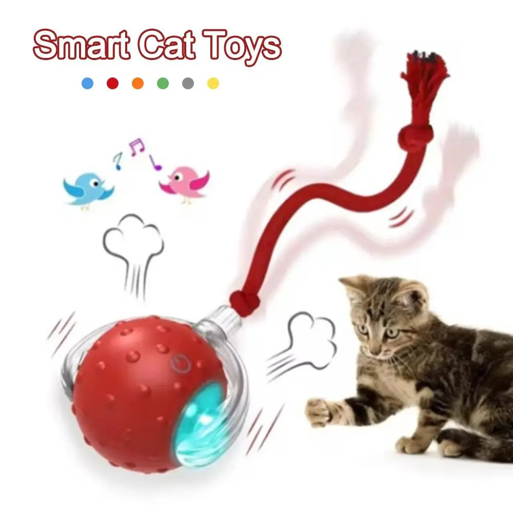 A red silicone ball toy for cats and dogs with a flexible string, shown next to a tabby cat.