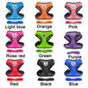 A collection of various colored adjustable pet harness and leash sets for dogs and cats.