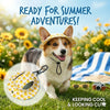 A happy dog wearing a yellow duck print pet cap in a sunny outdoor setting.