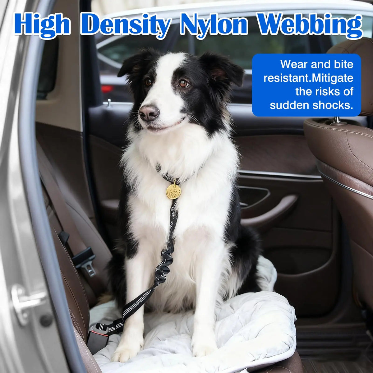A black and white dog is sitting in a car seat, wearing an adjustable safety harness.