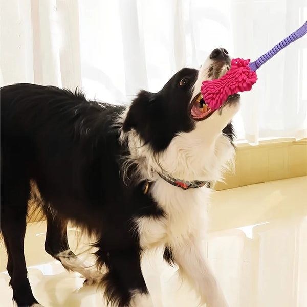 A black and white dog is happily holding a pink plush pull rope toy.