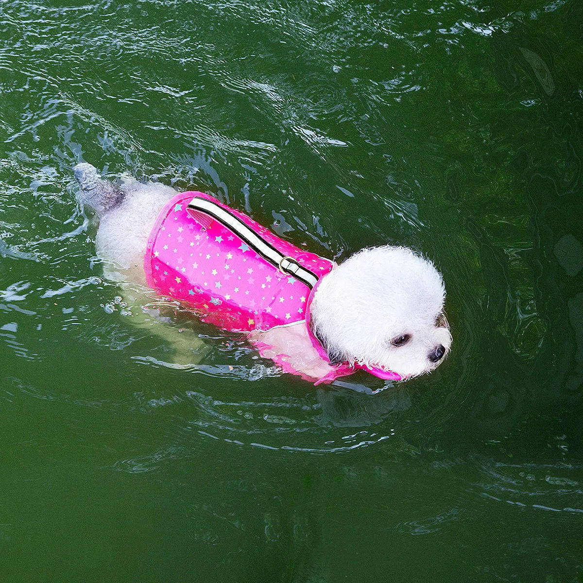 A white dog wearing a pink life jacket swims in green water.
