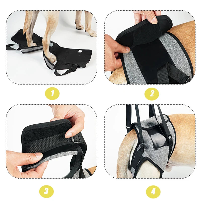 Quatre étapes montrant comment ajuster et porter un harnais de levage pour chien réglable pour le soutien articulaire.