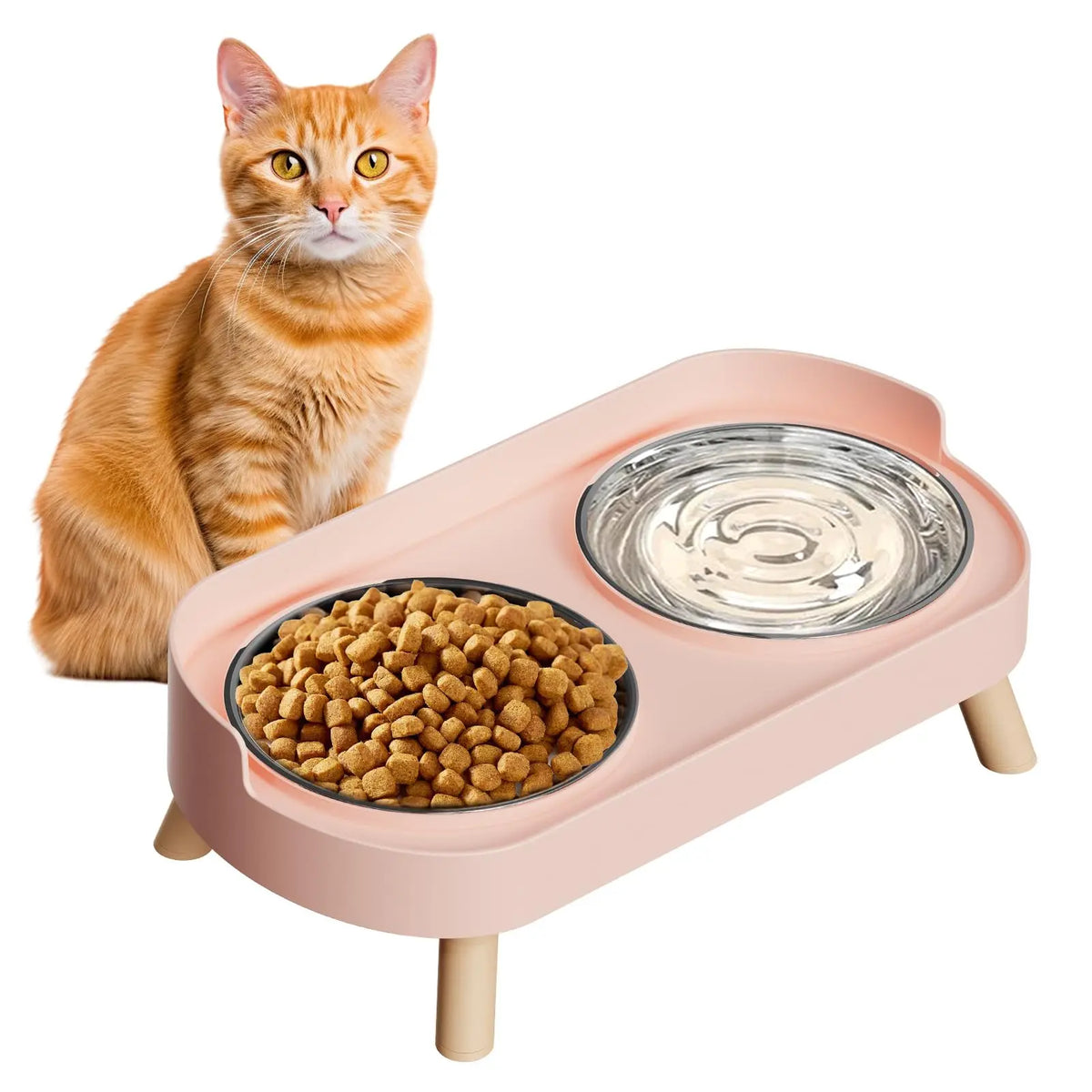 An orange tabby cat sits next to a pink elevated bowl set containing dry food and water.