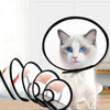 Un chat blanc et duveteux aux yeux bleus est montré à l'intérieur d'une gaine de protection transparente pour chien et chat.