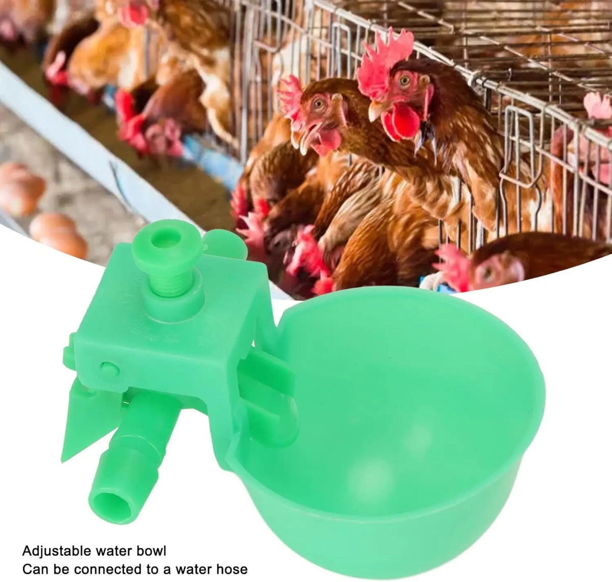 Bol d'eau vert ajustable, conçu pour être connecté à un tuyau pour l'alimentation automatique des poulets.